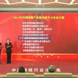 喜報！縱覽線纜集團榮膺 “中國線纜產業最具競爭力企業100強” ...