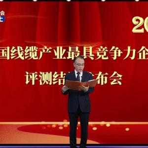 賡續卓越  勇毅前行——縱覽線纜集團再次榮獲2022中國線纜行業最具競爭力100強 ...