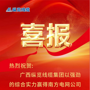 縱覽線纜集團斬獲南方電網“億元標”——以優異成績慶賀2023全國兩會勝利召開！ ...